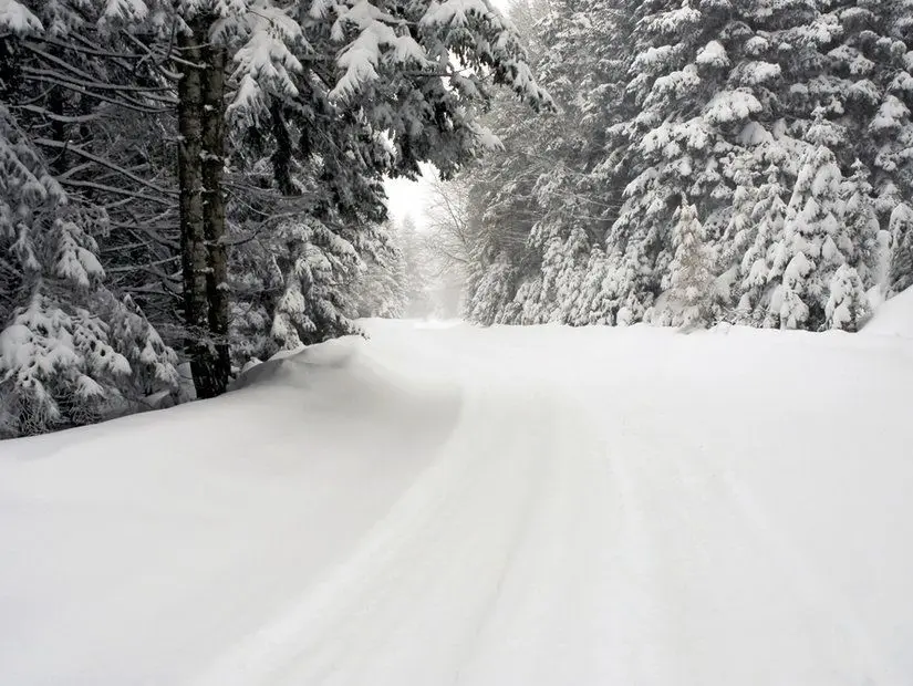 Bolu aladağ yaylası