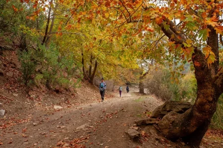 Günübirlik Doğa Kaçamakları: Büyük Şehirlere Yakın En İyi 5 Yürüyüş Parkuru