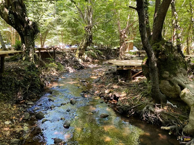 Yalova erikli yaylası