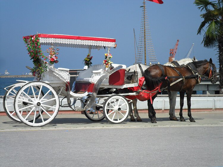 Abant gölü faytona