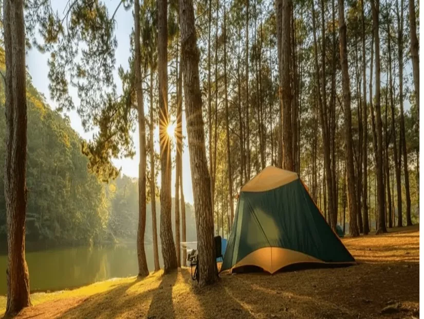 Kaz Dağları Eteklerinde Kamp ve Doğa Yürüyüşü